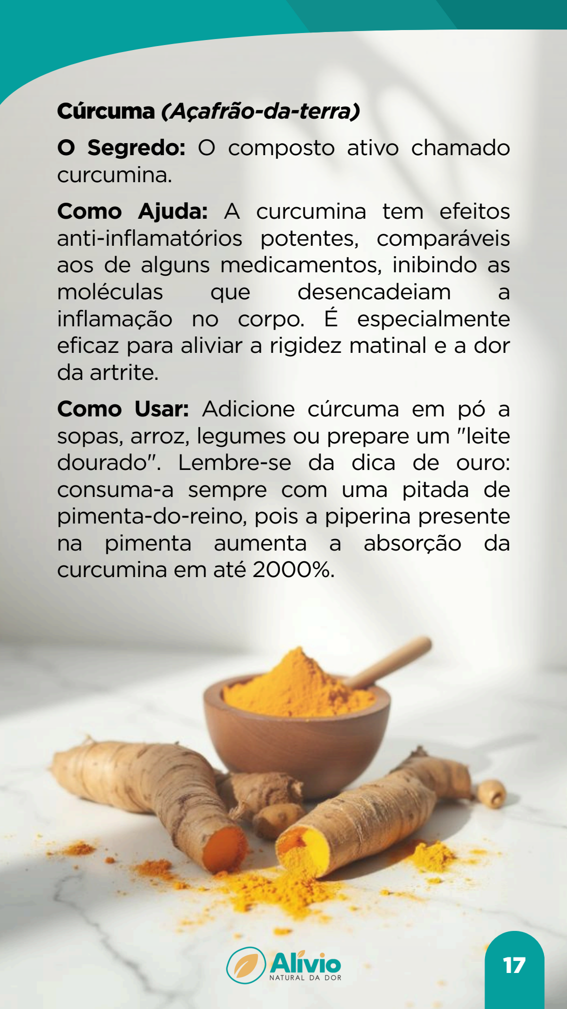 Página real do e-book sobre cúrcuma